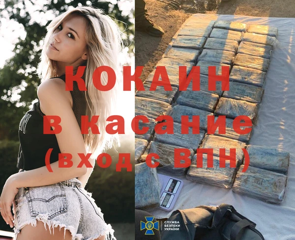 дмт Касимов