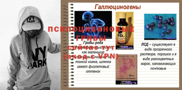 дмт Касимов