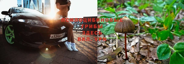 ешки Карпинск