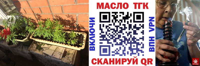 Купить закладки  Губаха  Дистиллят ТГК концентрат 