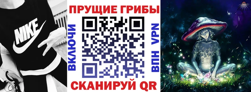 Купить закладки  Губаха  Псилоцибиновые грибы ЛСД 